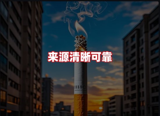 专业团队